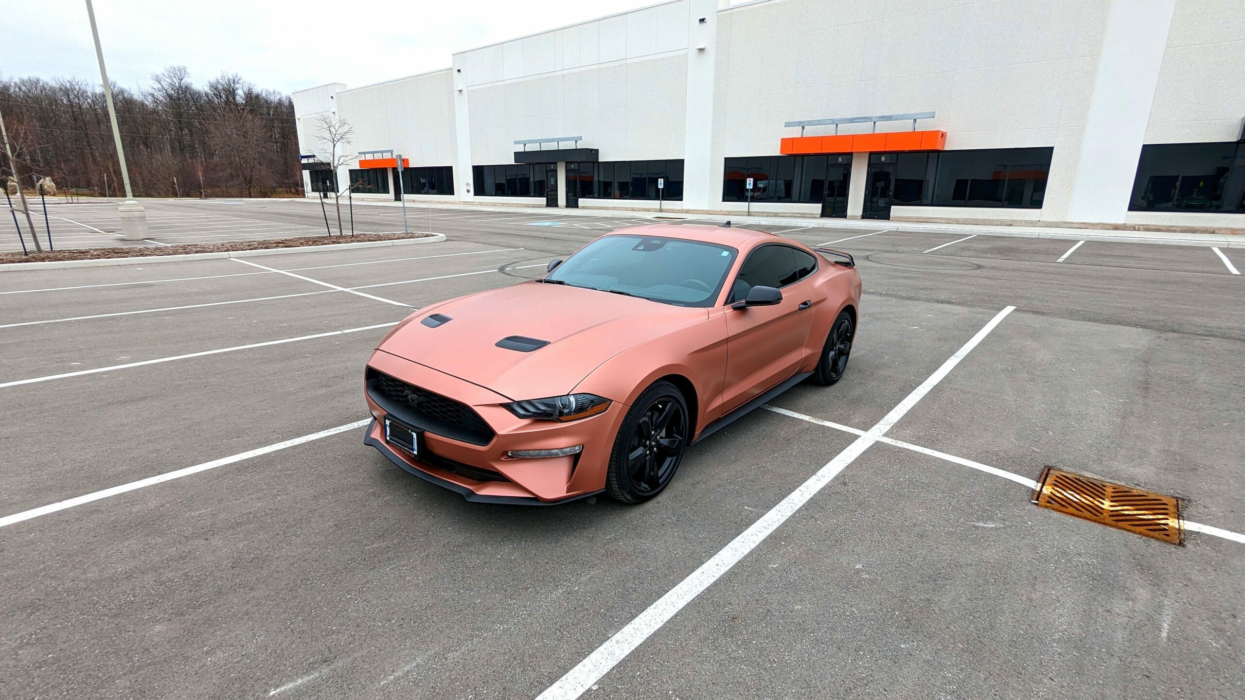 Ford Mustang Satin Rose Gold - Concept Wraps